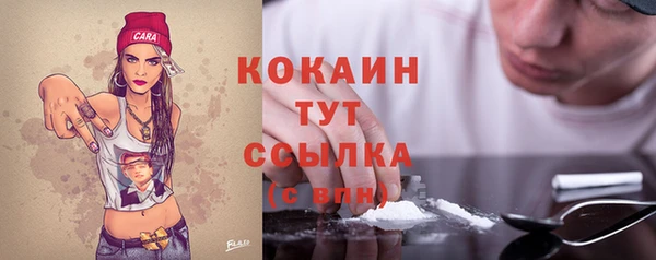 стаф Валдай