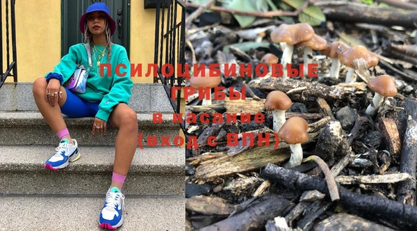 МДПВ Остров