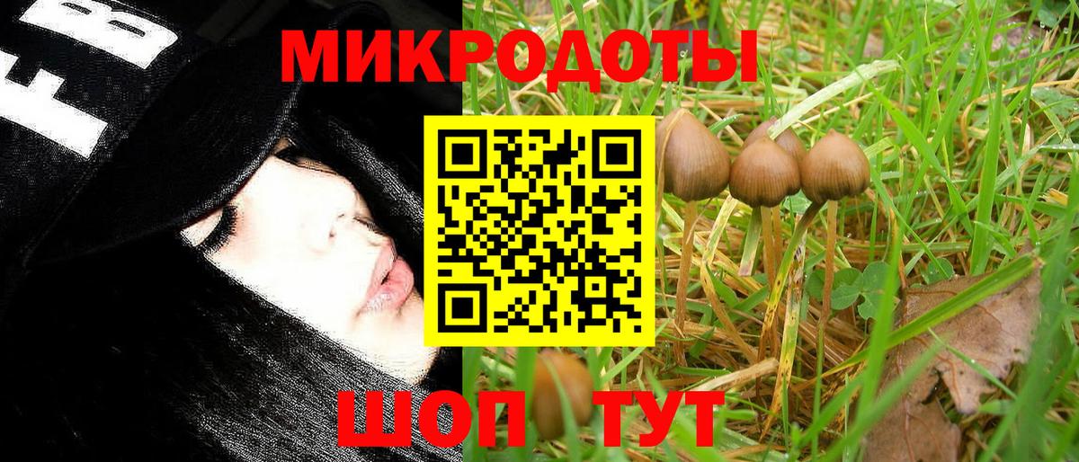 Псилоцибиновые грибы прущие грибы  Псилоцибиновые грибы прущие грибы  Бугуруслан  Вход с VPN 